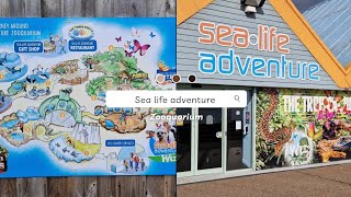 Sea Life Zooquarium Southend  on  sea complete tour [upl. by Aiykan817]