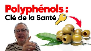 Les Polyphénols  Une des Clés de la Santé [upl. by Danielle]