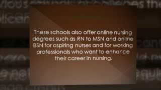 Top 5 Accredited Online Nursing Programs In The US [upl. by Enawd493]