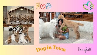 Dog in Town Cafe [upl. by Eeliah362]