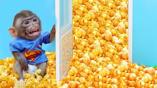 Baby Monkey Bon Bons Epic Popcorn Explosion 🍿🔥 [upl. by Valleau891]