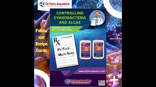 Controlling Cyanobacteria [upl. by Llenyl102]