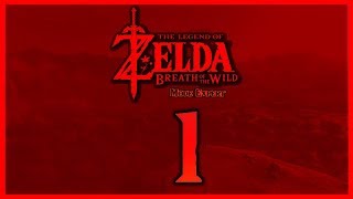 The Legend Of Zelda Breath Of The Wild EXPERT MODE  UNE REVUE DU PASSÉ  Épisode 1  100 [upl. by Hayman]