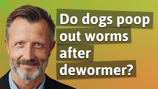 Do dogs poop out worms after dewormer [upl. by Eirrehc649]