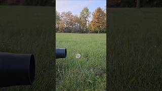 Dandelion puff vs 650CFM BLOWER ego blower dandelions [upl. by Enninaej]