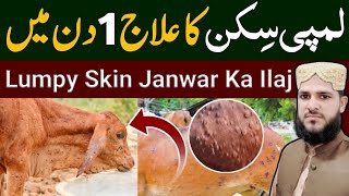 Lumpy Skin  Lumpy Skin Ka Ilaj  Janwaron Ki Waba Ka Ilaj  Janwaron Ki Bimari Lumpy Skin Ka Ilaj [upl. by Ellerrehs]