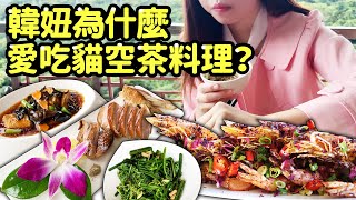 🇹🇼韓國人在台灣韓妞為什麼愛吃貓空茶料理？ [upl. by Ahsinik159]