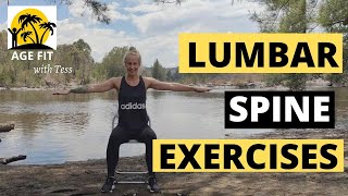 Lumbar Spondylosis Exercises [upl. by Asen819]