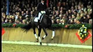 Stedinger 2000 by Sandro Hit  Landadel Stallion Show Sosath 2011 [upl. by Ydnis22]