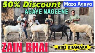 50 Discount Offer Big Andul Goat 🐐 At ZAIN BHAI  Sab Se Sasti Bakra Mandi Bhiwandi Rizwankranti [upl. by Skyler106]