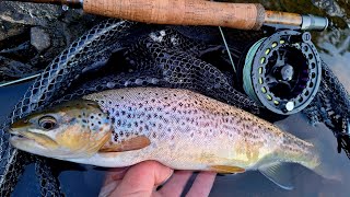 Pure Dry Fly  An evening of dry fly fishing for wild brown trout [upl. by Hunter]