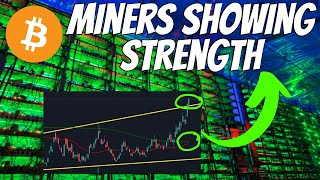 Btc Miners Show STRENGTH Against Bitcoin Recent News [upl. by Nytsyrk]