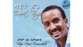 Tamrialesh By Dawit Tsige [upl. by Decamp991]