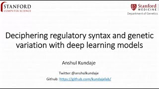 Dr Anshul Kundaje  Deciphering regulatory syntax and genetic variation with deep learning models [upl. by Rhiana663]