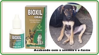 ACABANDO A ANEMIA COM BIOXIL e SULFATO FERROSO [upl. by Ahsitahs]