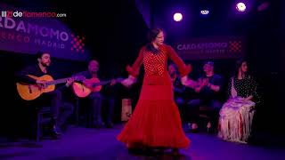 Paula Rodríguez en Cardamomo Flamenco Madrid [upl. by Mecke]