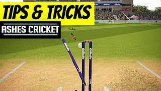 Ashes Cricket 2017 Best Tips amp Tricks [upl. by Aihsekan]