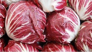 What Is Radicchio [upl. by Civ]