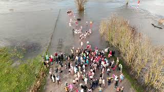 Nieuwjaarsduik 3 Lexmond 2024 [upl. by Dorran]