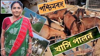 পশ্চিমবঙ্গে ব্যবসা ভিত্তিক খাসি ছাগল পালন  Commercial Khasi Goat Farming in West Bengal [upl. by Aguste]