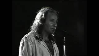 Vasco Rossi Cè chi dice NO Fronte dal Palco Live 1990 [upl. by Luas633]