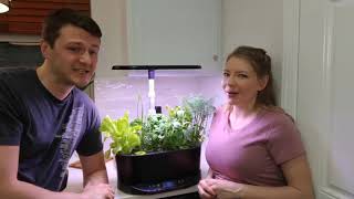 Aerogarden Bounty Update amp Review – Day 41 [upl. by Gnahk]