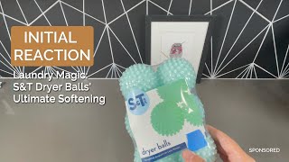 SampT Plastic Dryer Ball Review [upl. by Worl228]