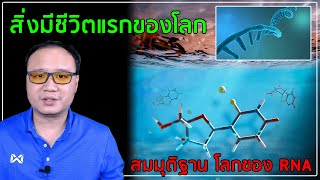 Genome EP02  สิ่งมีชีวิตยุคเริ่มแรก สมมุติฐานโลกของ RNA RNA World hypothesis [upl. by Rapsag594]