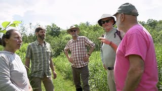 Ecological Planning Laboratory Knotweed in the Mad River Valley [upl. by Alac]