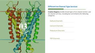 Ion Channel Screening amp Profiling Services [upl. by Balmuth]