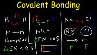 Polar Covalent Bonds and Nonpolar Covalent bonds Ionic Bonding  Types of Chemical Bonds [upl. by Rochelle]