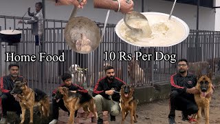 BEST HOME FOOD FOR DOGS 🐕 10 RS PER DOG 😳 50 DOGS IN KENNEL DAILY EXPENSE 2000 RS 😳😳😳 [upl. by Acsisnarf85]