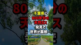 千葉県に800年分の天然ガス発見で世界が震撼 海外の反応 [upl. by Leumas]