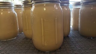 Canning Evaporated Milk Using Homestead Heart ProcedureTechnique [upl. by Cibis]