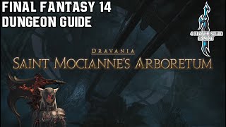 Final Fantasy 14  Heavensward  Saint Mociannes Arboretum  Dungeon Guide [upl. by Assirolc989]