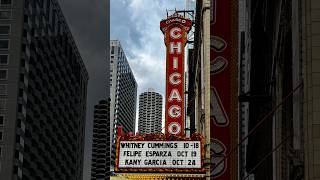 Chicago Marathon 2024 Incredible noise past the Theatre and Loop [upl. by Rissa]