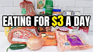 Eating for 3 a Day Cheap and Healthy Meal Ideas You Need to Try [upl. by Bashemeth923]