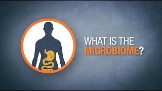 What is the microbiome  Herbalife Nutrition [upl. by Ydnas502]