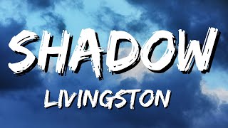 Livingston  Shadow Lyrics [upl. by Romeu748]