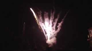 CB30Z2528 Silver comet tail leise Pyrotrade Fireworks [upl. by Atena]