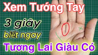 Tướng Tay GIÀU CÓ Không Giàu Tôi Bỏ Nghề XEM CHỈ TAY Nhật Anh Tử Vi Tướng Số  Zalo 0766623979 [upl. by Trace]