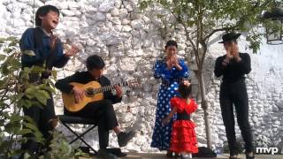 Flamenco  Familia Japonesa  Maiya  Granada [upl. by Aleron916]