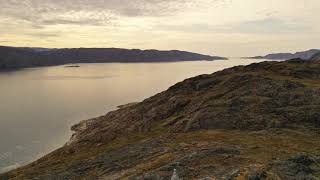 Greenland Disko Bay Expedition Tour 2328082019 by Albatros Expeditions  Day 5 [upl. by Mutz]