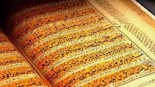 Full Quran 1 30 Para সু মধুর কন্ঠে সম্পূর্ণ ৩০পারা কোরআন তেলাওয়াত। al quran quran explorer [upl. by Penoyer739]