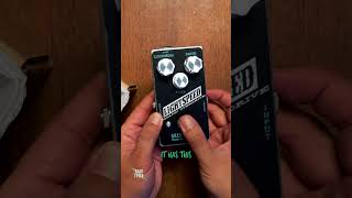 TRANSPARENT Overdrives are still cool  Greer Amps Lightspeed [upl. by Coh]