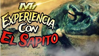 Mi experiencia con el Sapito BUFO ALVARIUS y la molecula de Dios La medicina Ancestral sapito [upl. by Lanza79]