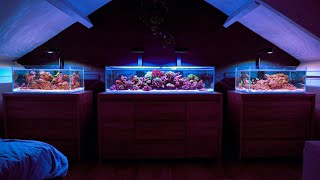 A Bedroom Full of Reef Tanks [upl. by Imoian]