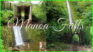 Manoa Falls Trail Hike 🌈🌺 Birds Singing  Nature Sounds  Manoa Valley  Oahu 🌴 Hawaii 5K Hiking [upl. by Kore984]