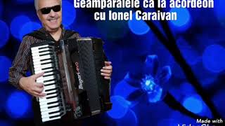 Geamparalele ca la acordeon cu maestrul Ionel Caraivan de la Brăila [upl. by Puttergill]