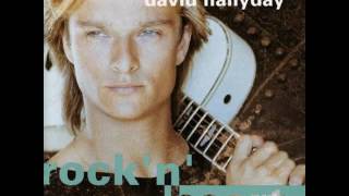 David Hallyday  To Have And To Hold LYRICS [upl. by Eetse630]